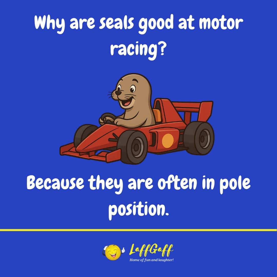 Racing seals joke from LaffGaff.