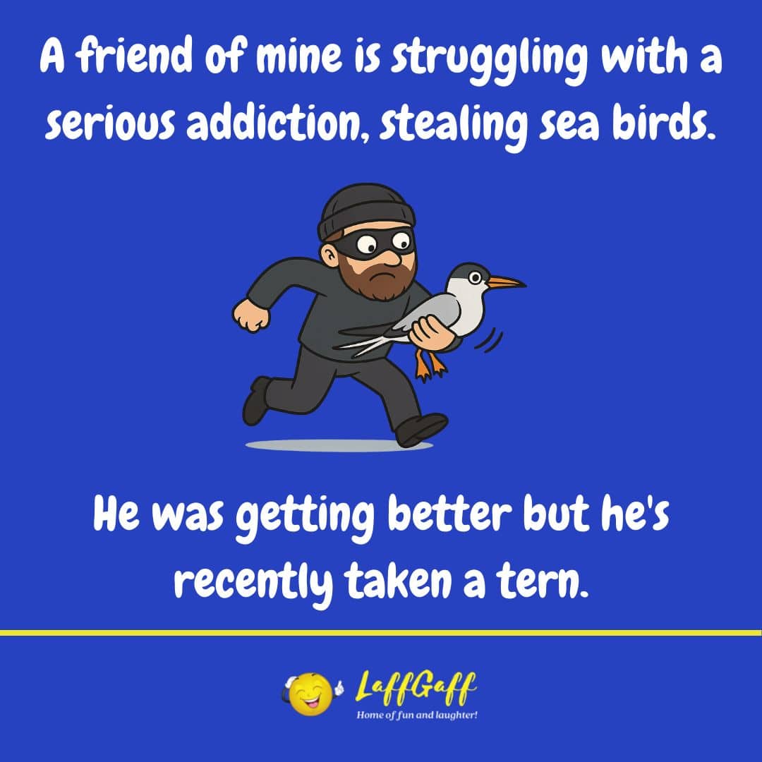 Sea bird thief joke from LaffGaff.